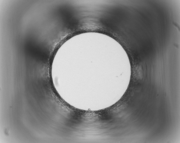 X0000103940399200810031327