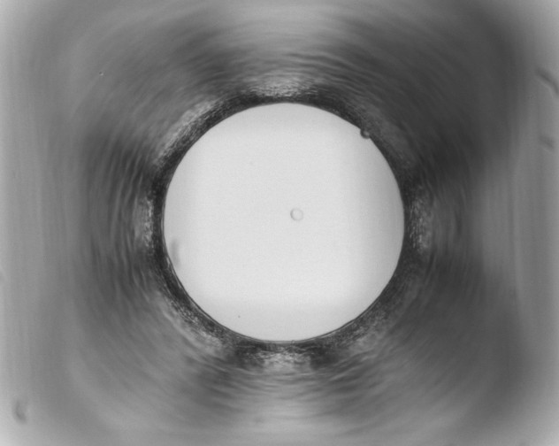 X0000103940400200810031327