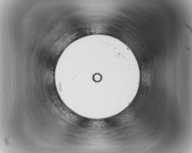 X0000103940401200810031327