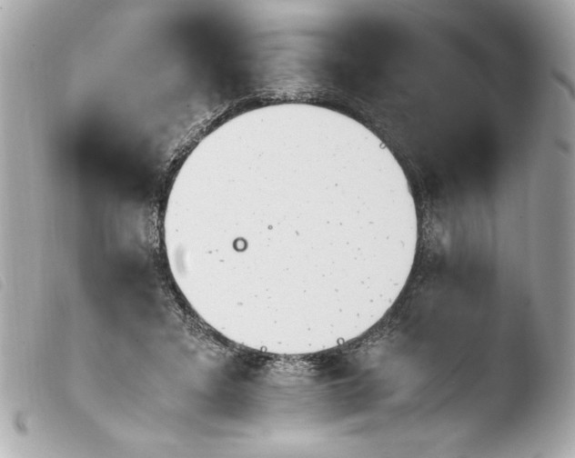 X0000103940403200810031327