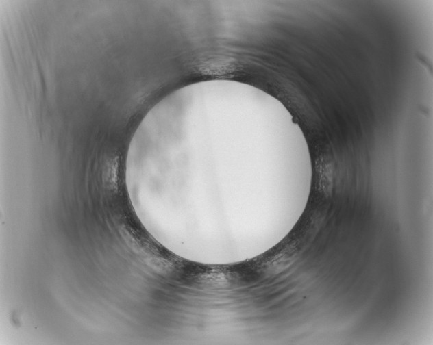 X0000103940404200810031327