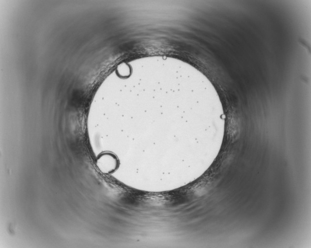 X0000103940405200810031327