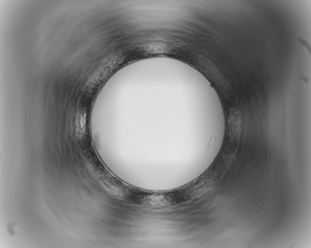 X0000103940406200810031327