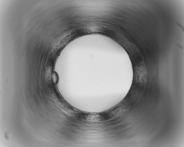 X0000103940410200810031327