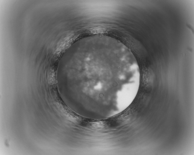 X0000103940411200810031327