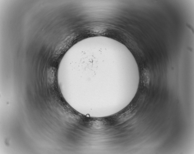 X0000103940412200810031327