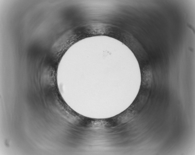 X0000103940414200810031327