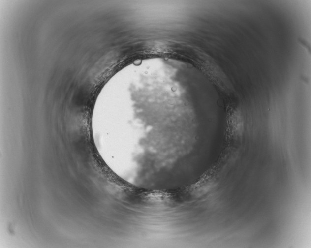 X0000103940415200810031327