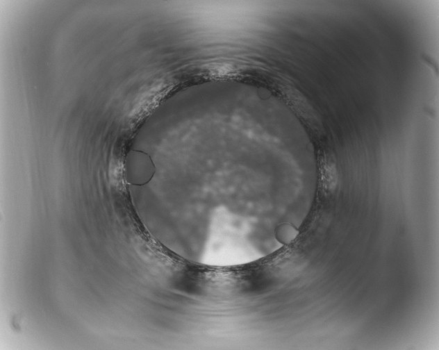 X0000103940419200810031327