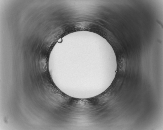 X0000103940420200810031327