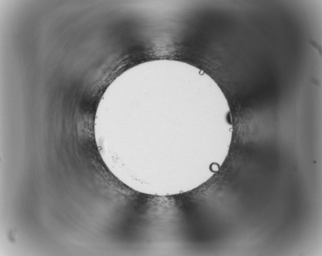 X0000103940421200810031326