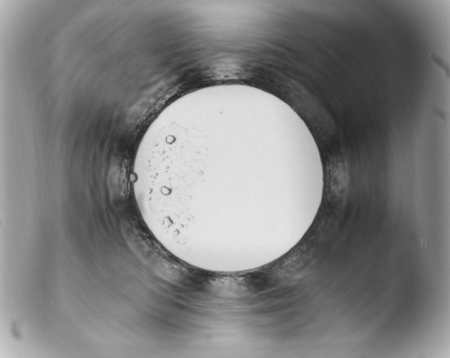 X0000103940422200810031326