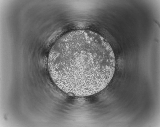 X0000103940423200810031326