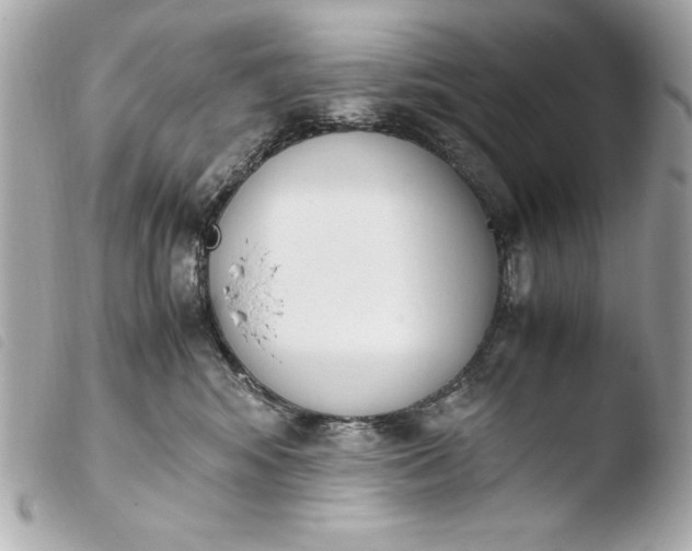 X0000103940424200810031326