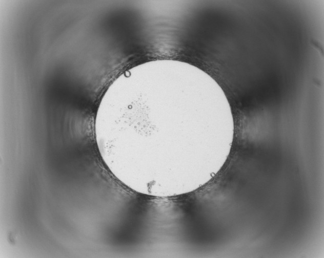 X0000103940425200810031326