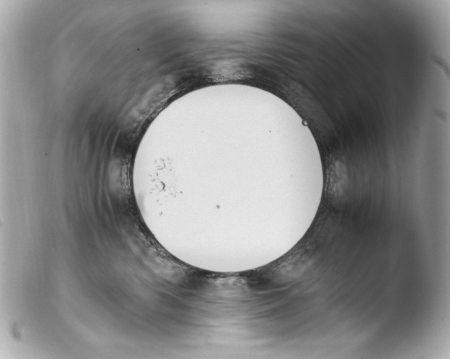 X0000103940426200810031326