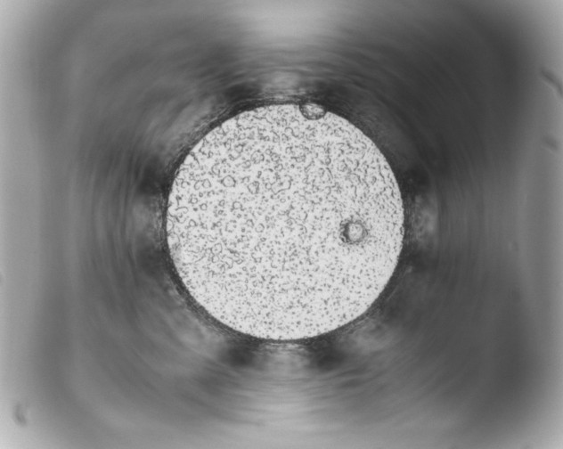 X0000103940427200810031326