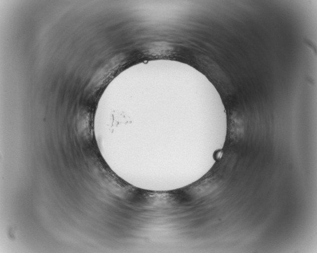 X0000103940428200810031326