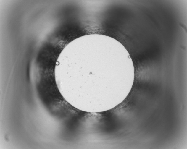 X0000103940429200810031326