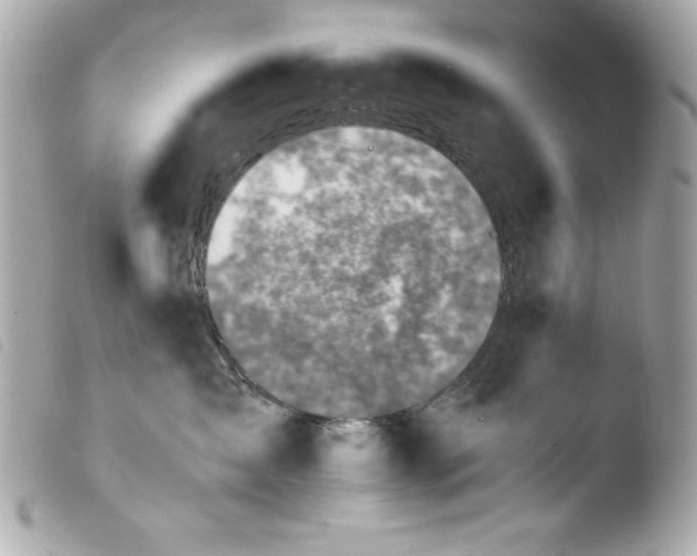 X0000103940431200810031326