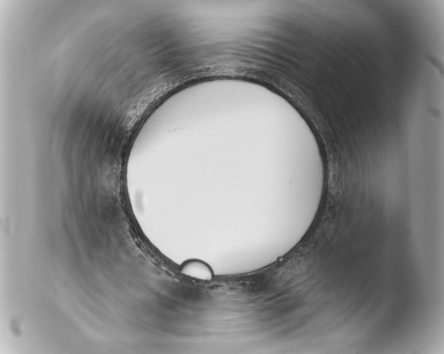 X0000103940434200810031326