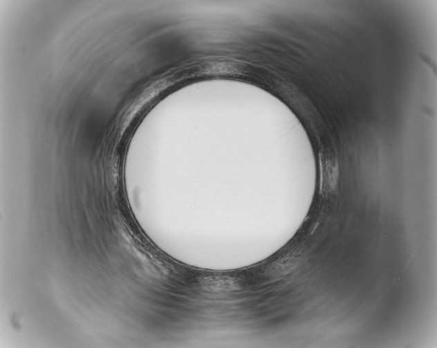 X0000103940435200810031326