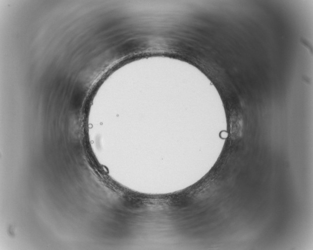 X0000103940436200810031326