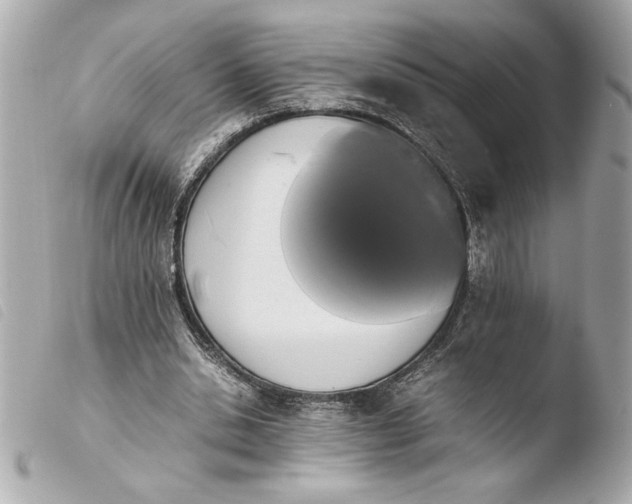 X0000103940438200810031326