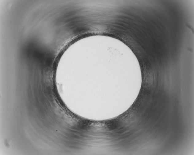 X0000103940440200810031326