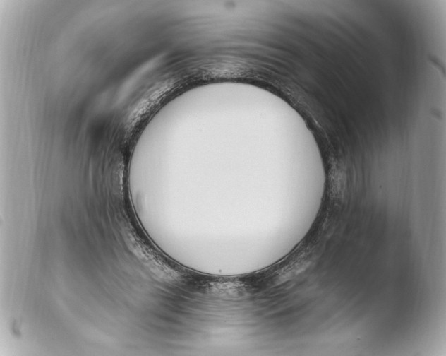 X0000103940446200810031326