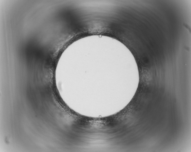 X0000103940448200810031326