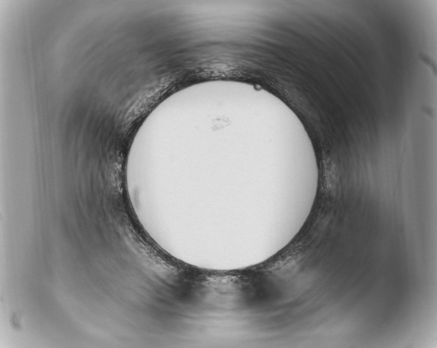 X0000103940450200810031326