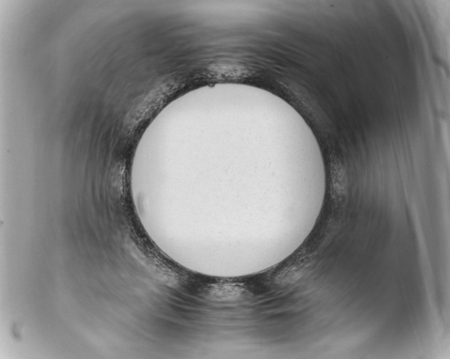 X0000103940451200810031326