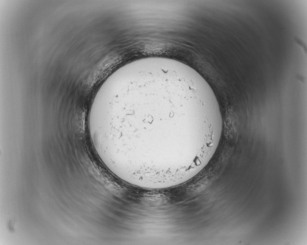 X0000103940454200810031326