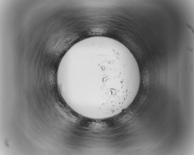 X0000103940455200810031326