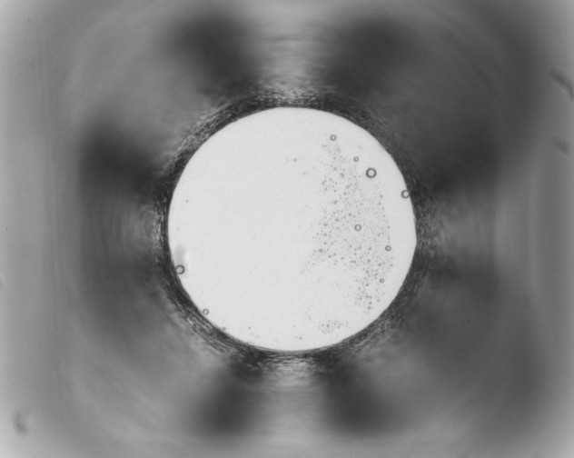 X0000103940456200810031326