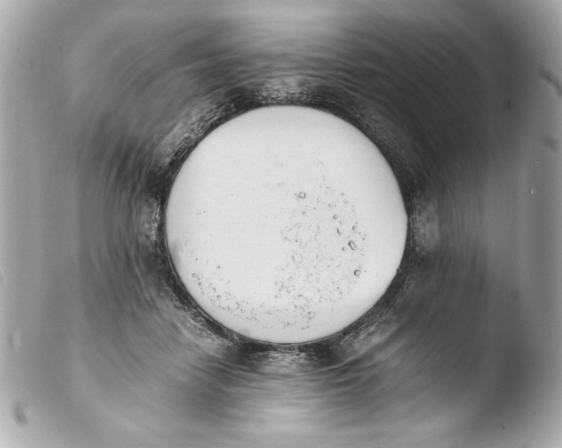 X0000103940458200810031326