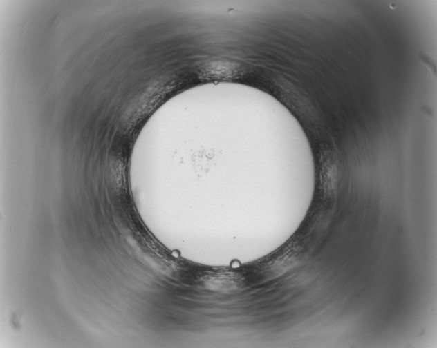 X0000103940459200810031326