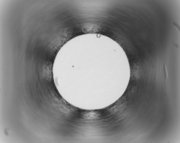 X0000103940460200810031326