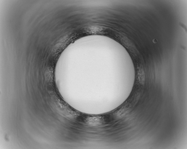 X0000103940461200810031326