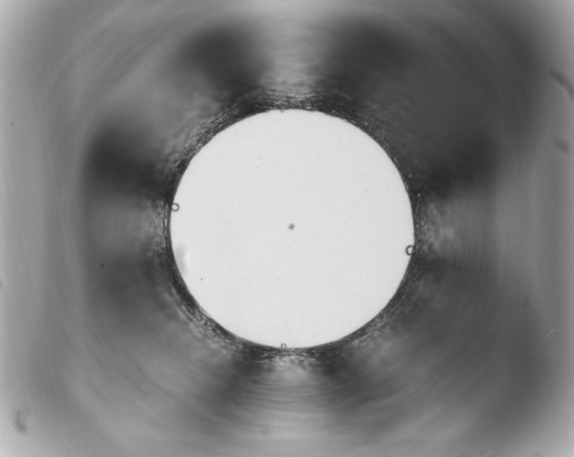 X0000103940468200810031326