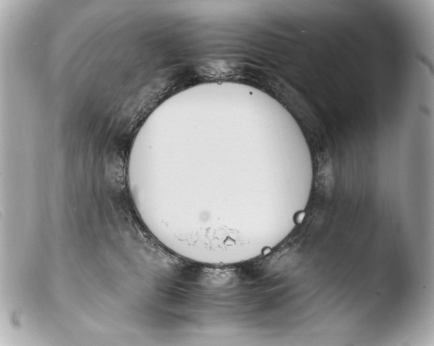 X0000103940469200810031326