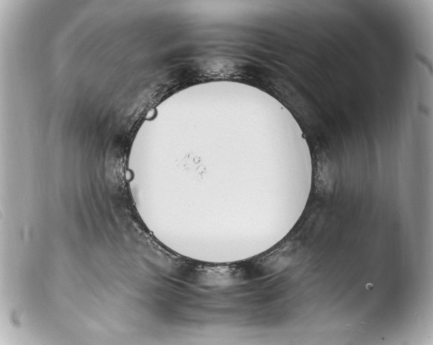 X0000103940473200810031326