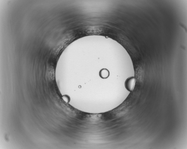 X0000103940474200810031326