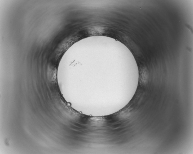 X0000103940477200810031326