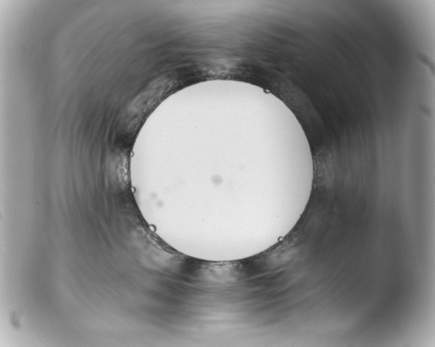 X0000103940479200810031326