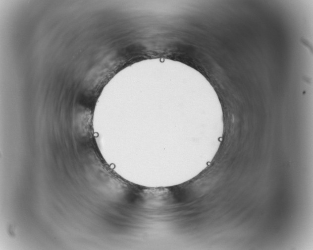 X0000103940480200810031326