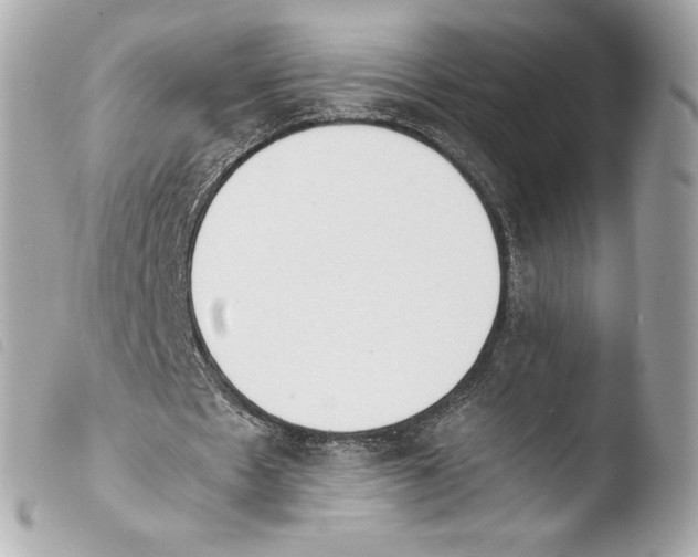 X0000103940481200810031325