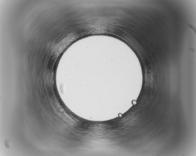 X0000103940485200810031325