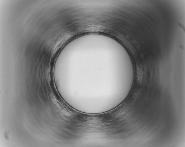 X0000103940486200810031325